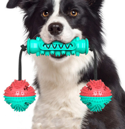 Dog Chew Toys Pet Toothbrush Rubber Bones Teeth Cleaning Red